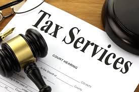 Deluxe Individual Tax Return